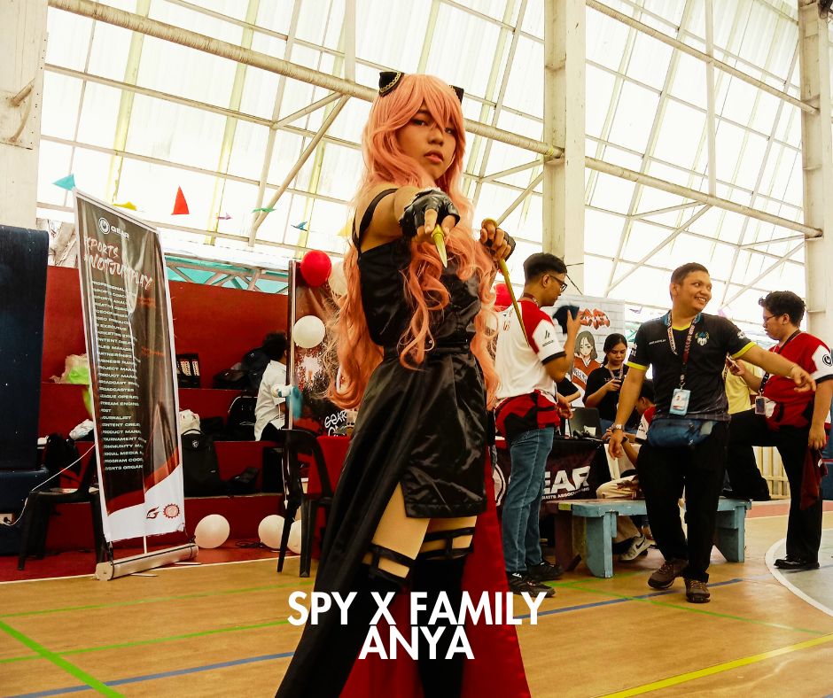 image_cosplay